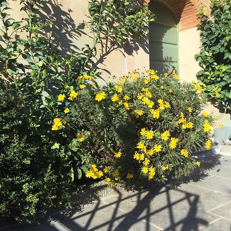 Villa Casa Mita Con Pacchetto Mare Incluso à Camaiore Extérieur photo