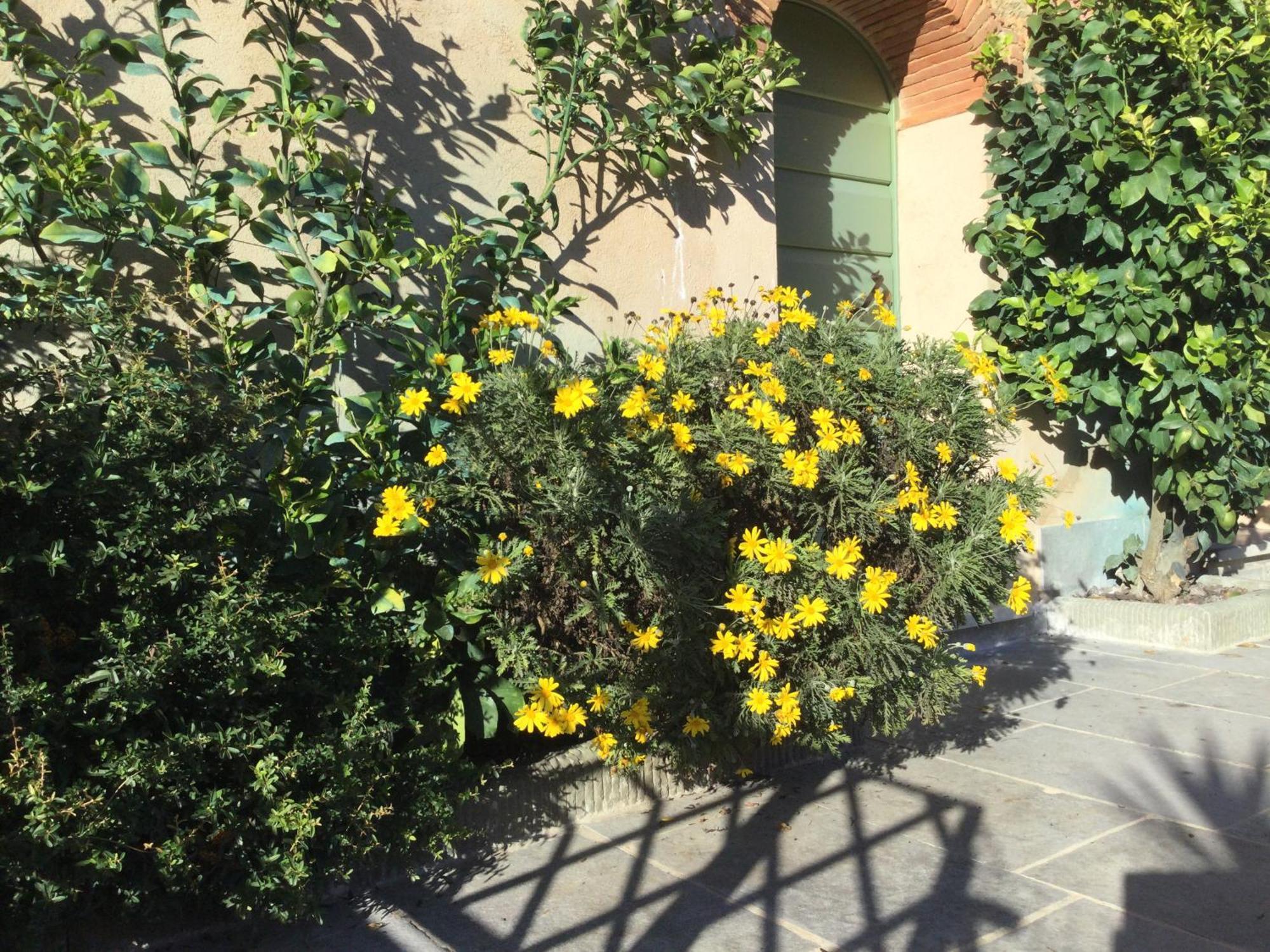 Villa Casa Mita Con Pacchetto Mare Incluso à Camaiore Extérieur photo