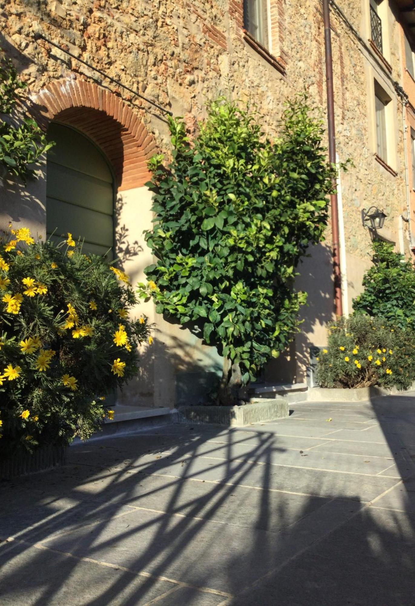 Villa Casa Mita Con Pacchetto Mare Incluso à Camaiore Extérieur photo